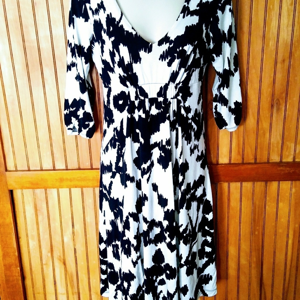 CAbi Softer than Soft Dress